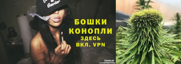 твердый Верея